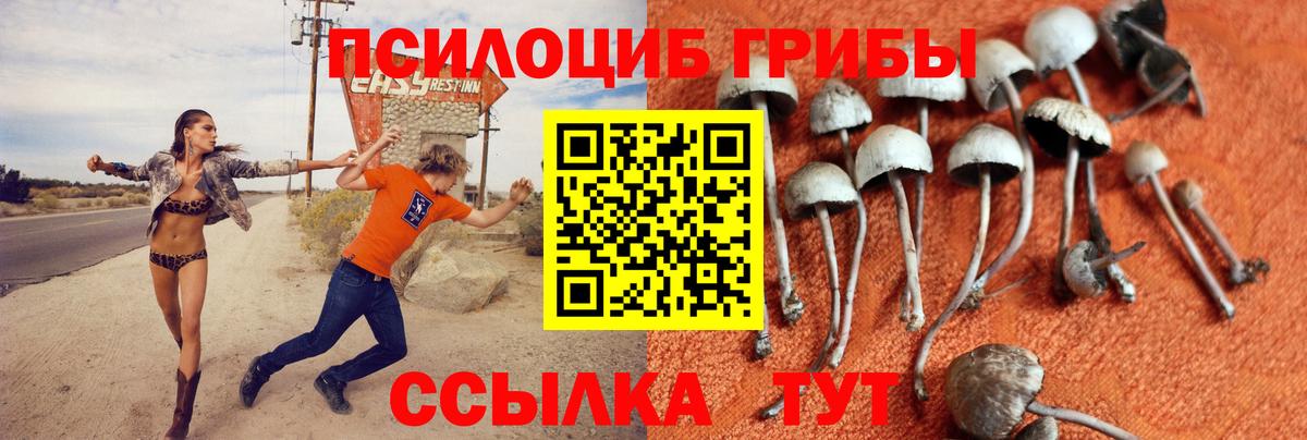 Галлюциногенные грибы прущие грибы  Вход с VPN  Сарапул 